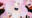 ペペロンのMMD部の商品