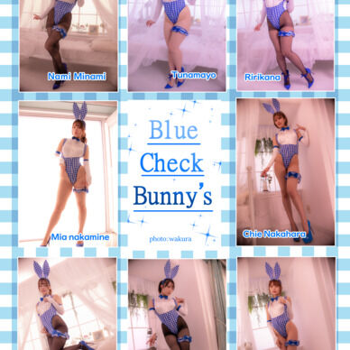 Blue check bunny