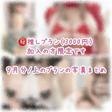 上のプランの商品版です🐶🌸