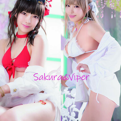 Sakura&Viper