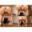 あきなのガニ股フェチROOMの商品