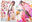 【DVD】刑部姫/ガールズオーダー DVDパッケージ版