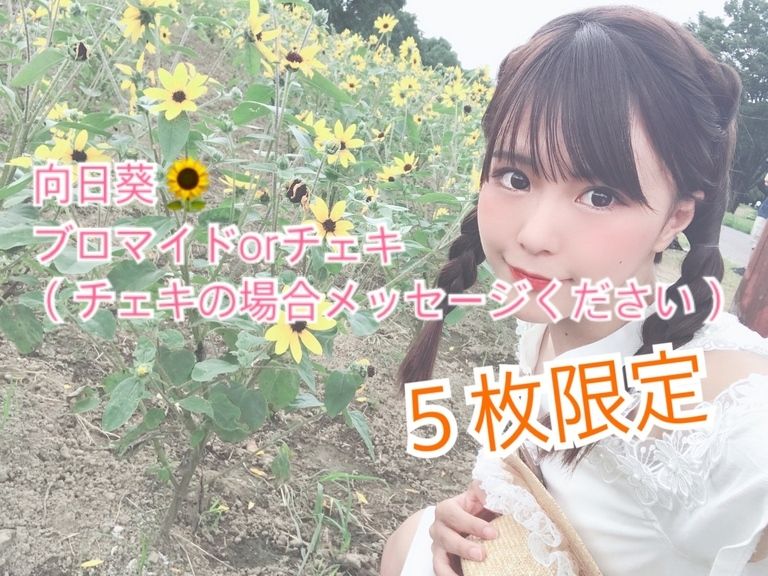 向日葵🌻ブロマイドorチェキ❤️５枚限定