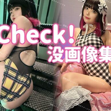 Check!没画像集(DL・ZIP版)