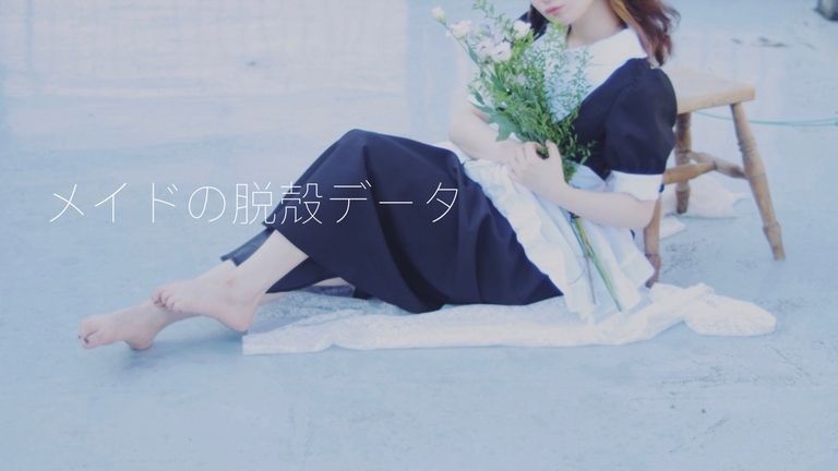 メイドの脱殻データ