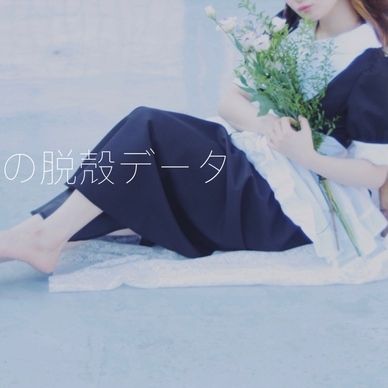 メイドの脱殻データ