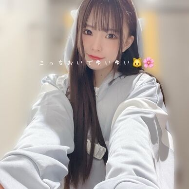 こっちおいでゆいゆい🐱🌸
