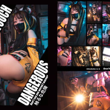 【DL】 Don't touch Dangerous