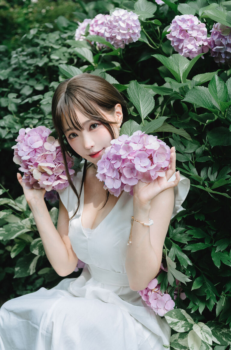Ely【雨季アジサイ】