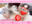 【新作｜今日だけ特別価格】オマ〇コびっちょり♡ 美乳Fカップめいちゃん(24)反応しまくり!! 初めての“全裸丸出しくすぐり責め”リアル映像［948作品目］