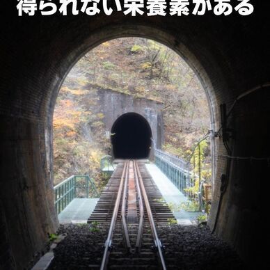ローカル線の車窓からしか得られない栄養素がある