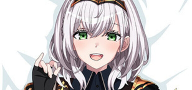 だんちょー抱き枕カバー