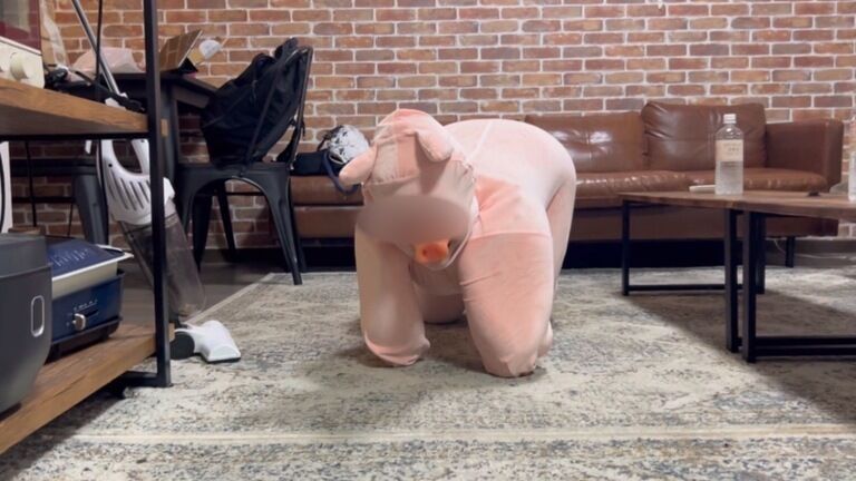 【早期購入特典付き】ペットガール14🐷