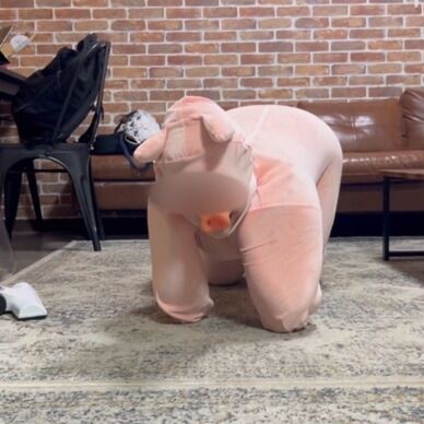 【早期購入特典付き】ペットガール14🐷