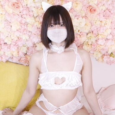 しろねこペットもえ