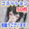 JUST SAE HANNのコミッション
