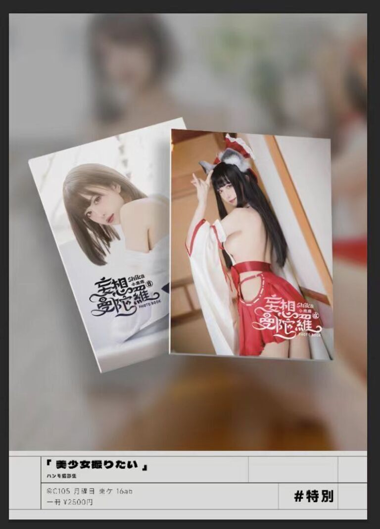 C105场刊セット