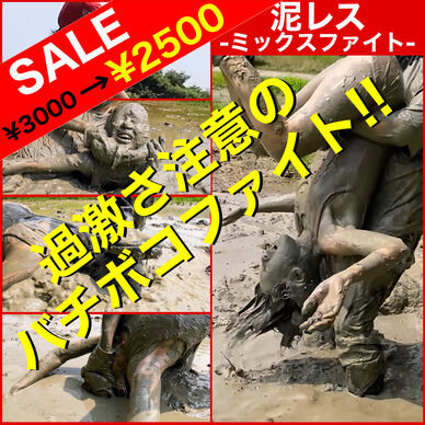 泥レス ミックスファイト