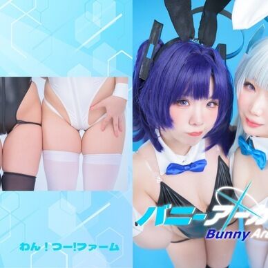 バニーアーカイブ