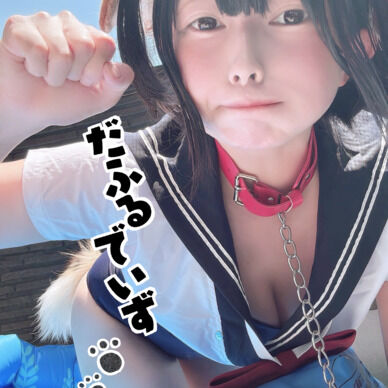 ワンだふるでいず🐾