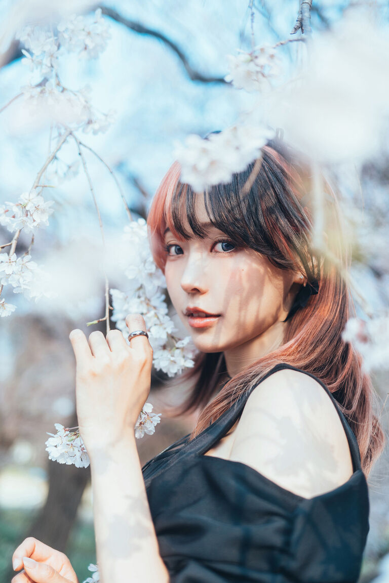 Ely【桜落影・漆黒】