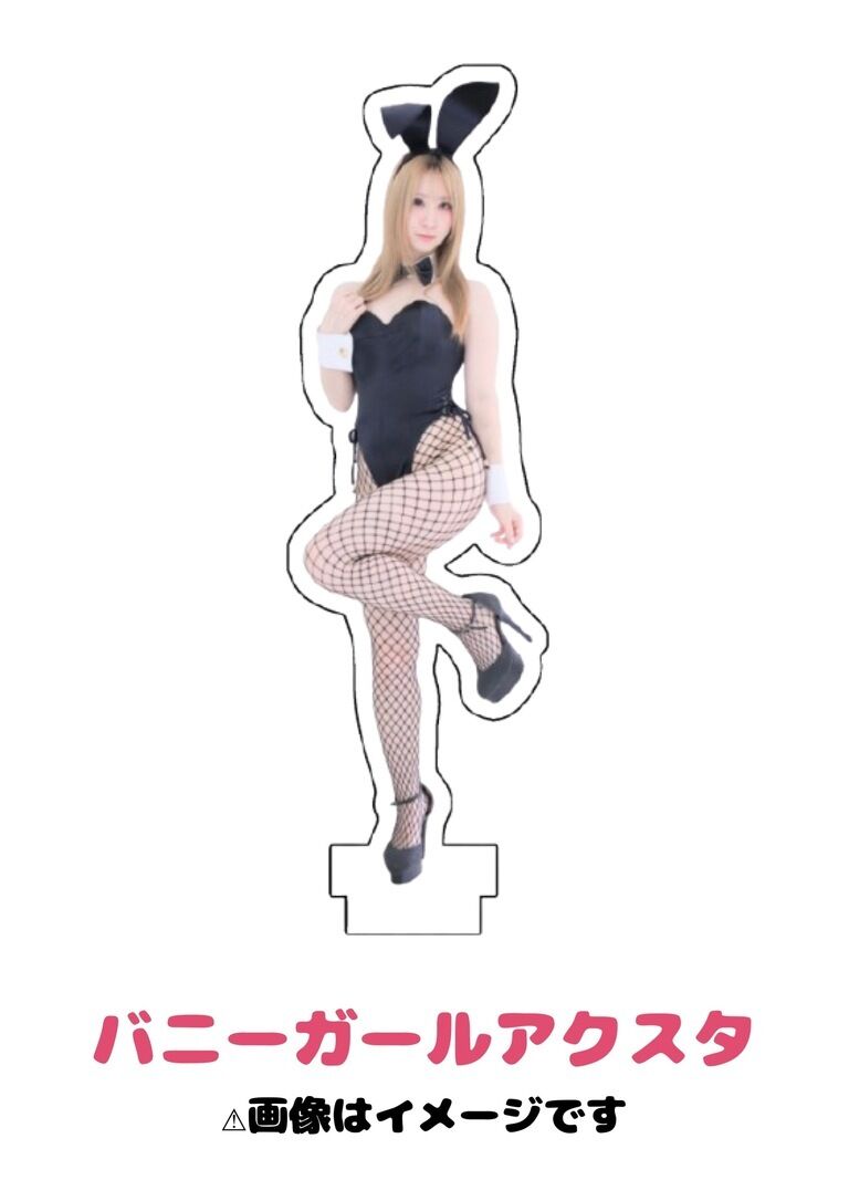 バニーガール👯‍♀️アクスタ