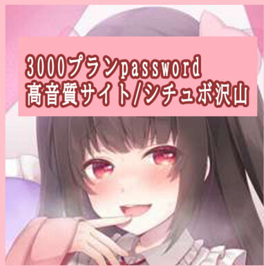 【11月のパスワード】3000円プラン加入の方 あげなおし