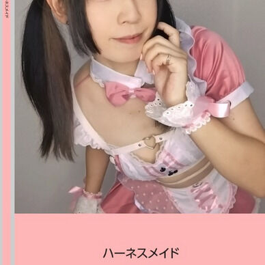 【写真集】ハーネスメイド