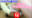 広瀬ゆう/ Yu Hirose＋ALL FANSの商品