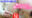 広瀬ゆう/ Yu Hirose＋ALL FANSの商品