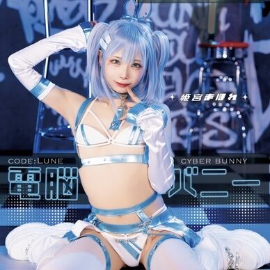 電脳マイクロバニー(単品)