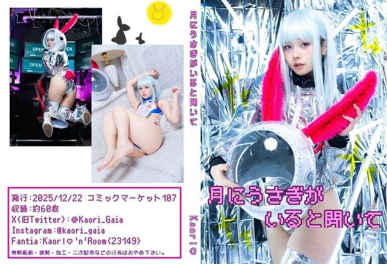 月にうさぎがいると聞いて