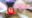 広瀬ゆう/ Yu Hirose＋ALL FANSの商品