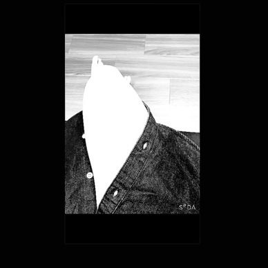 シャツワンピ②/2020.11