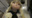 kigurumi.hの商品