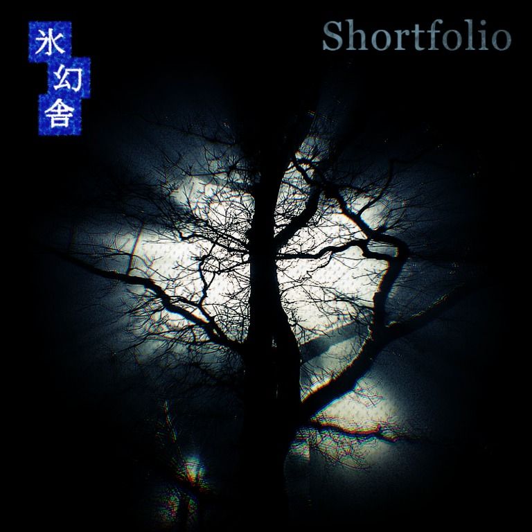 Shortfolio