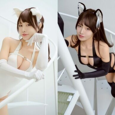 【DL写真集】白猫黒猫【234枚】