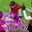 【△100】Yuri is inserted by the football team guy at the stadium (oral sex position and tits exposed)