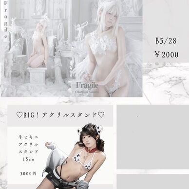 コスホリセット【写真集&アクスタ】