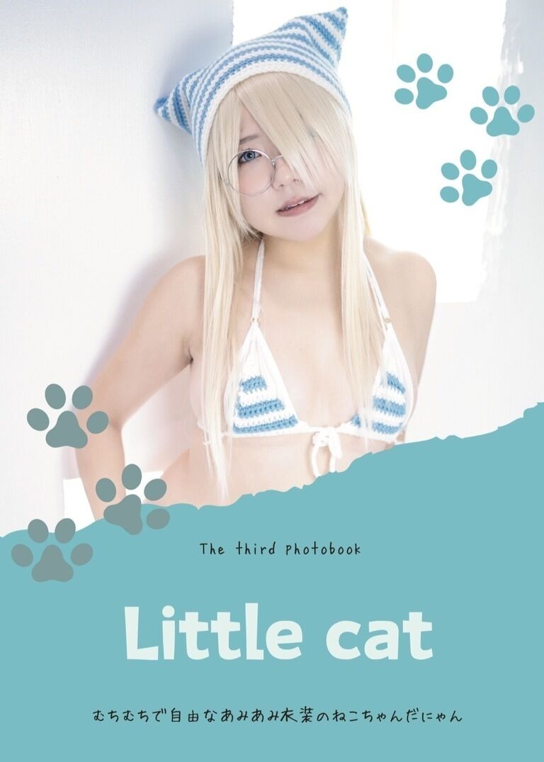 Little cat