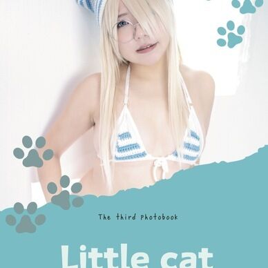 Little cat
