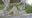 生クリーム部長ファンクラブの商品
