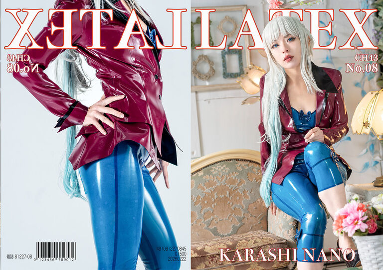 LATEX 08【CH43新刊】