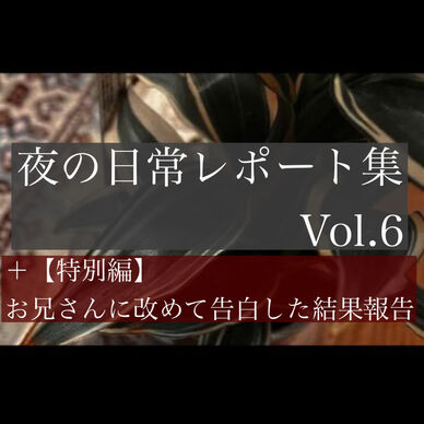 夜の日常レポートVol.6 (第26回〜第30回＋特別編)