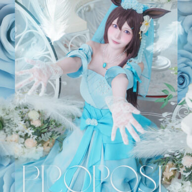 PROPOSE ドーベルドレス写真集(B5 34p)