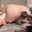 配達員🛵きいちゃんはビショビショ🐳の商品