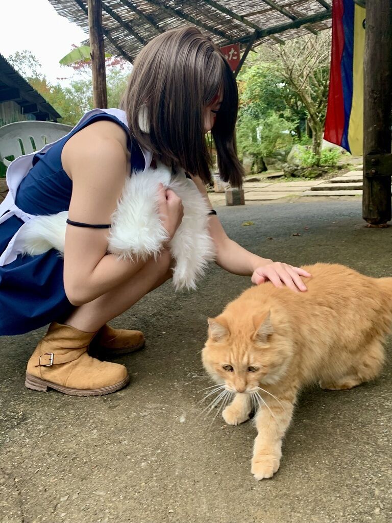 もののけ写真集