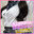 \全て未公開動画/1回300円のえちえちくじ♡