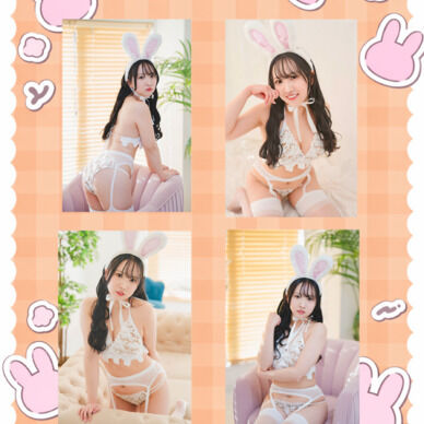 バニー(データブロマイド)