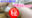 広瀬ゆう/ Yu Hirose＋ALL FANSの商品